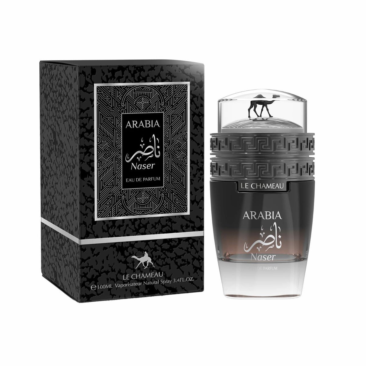 Emper Arabia Naser, foto 2